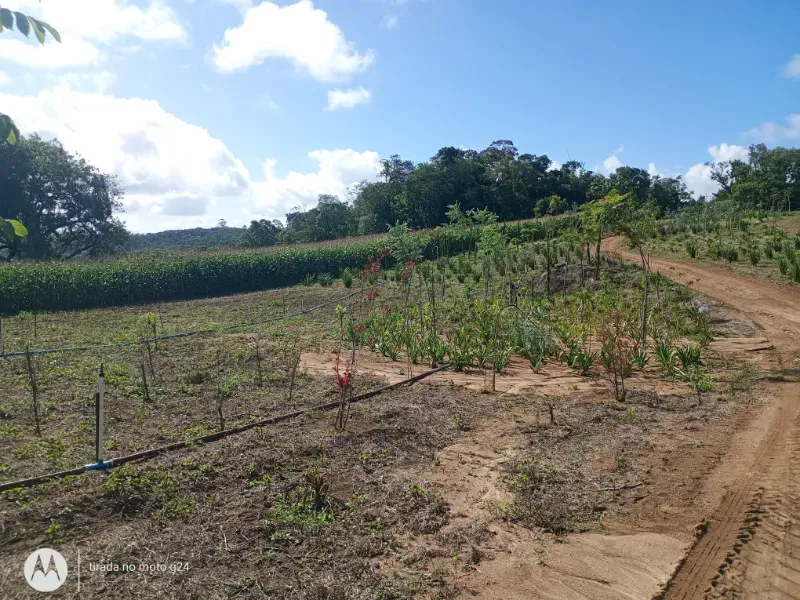 Fazenda em Piedade/São Paulo — Ref YEW1KS — Imagem 25