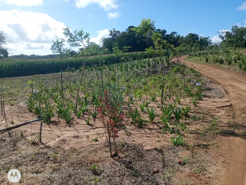 Fazenda em Piedade/São Paulo — Ref YEW1KS — Imagem 26
