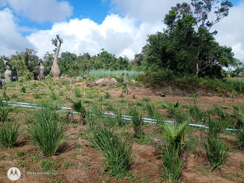 Fazenda em Piedade/São Paulo — Ref YEW1KS — Imagem 27