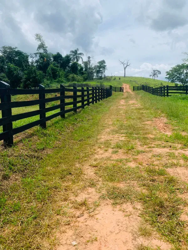Fazenda em Itabira/Minas Gerais — Ref FHMUGP — Imagem 2