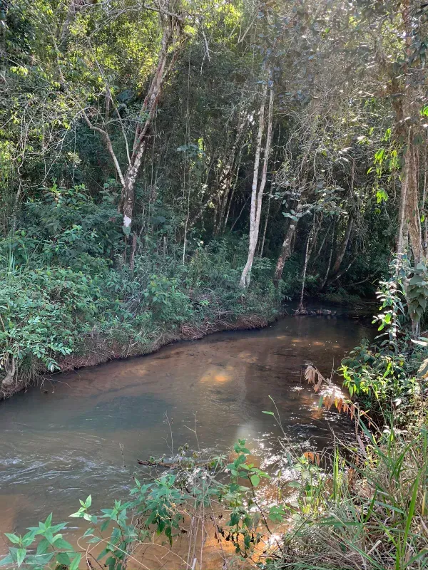 Fazenda em Itabira/Minas Gerais — Ref FHMUGP — Imagem 3