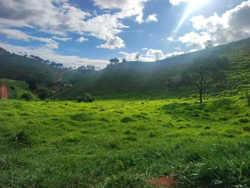 Fazenda em Malacacheta/Minas Gerais — Ref 1ND1Z8 — Imagem 2