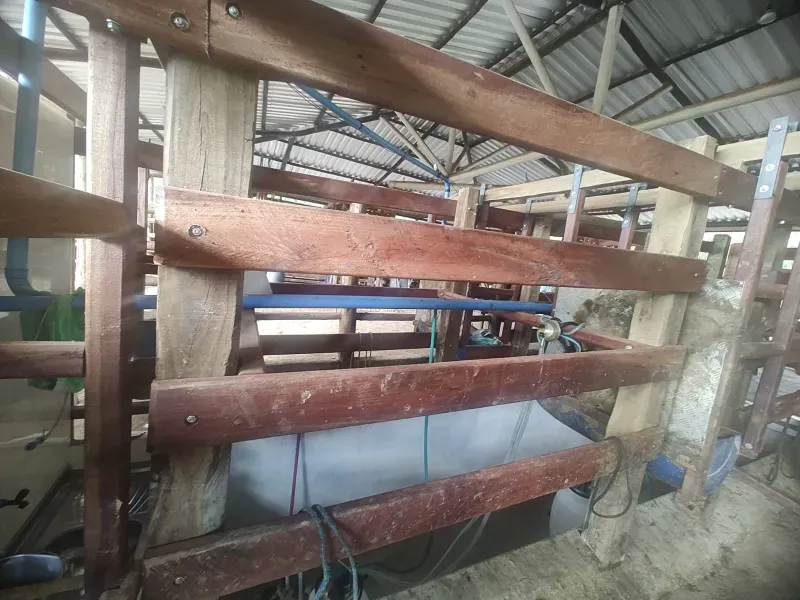 Fazenda em Malacacheta/Minas Gerais — Ref 1ND1Z8 — Imagem 8