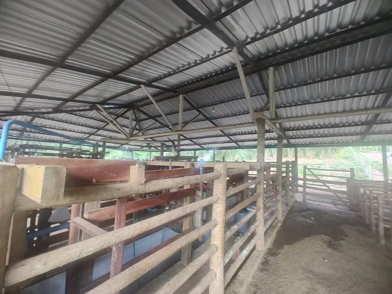 Fazenda em Malacacheta/Minas Gerais — Ref 1ND1Z8 — Imagem 9