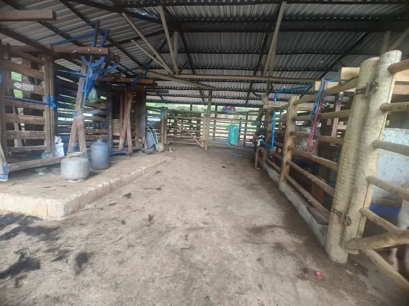 Fazenda em Malacacheta/Minas Gerais — Ref 1ND1Z8 — Imagem 10