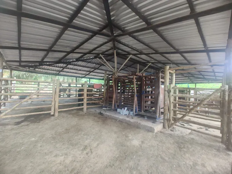 Fazenda em Malacacheta/Minas Gerais — Ref 1ND1Z8 — Imagem 7