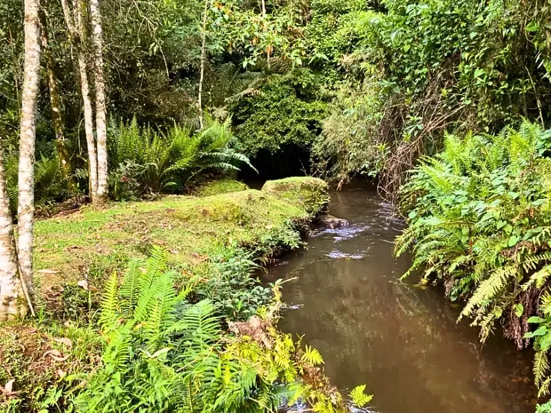 Chácara em Gonçalves/Minas Gerais — Ref 6CIWHP — Imagem 8