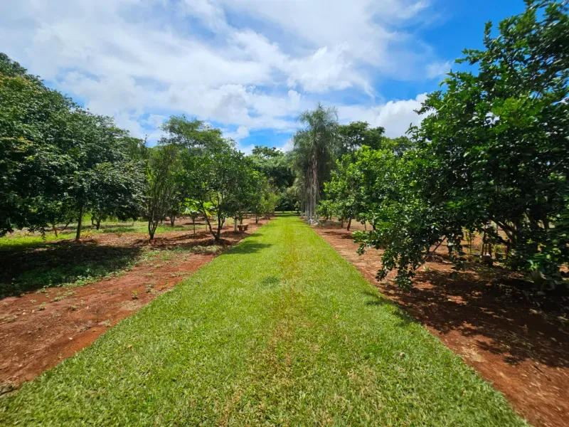Chácara em Luziânia/Goiás — Ref 7Y4F63 — Imagem 30
