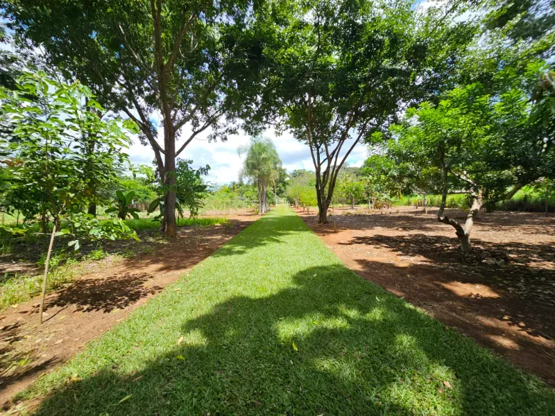 Chácara em Luziânia/Goiás — Ref 7Y4F63 — Imagem 35