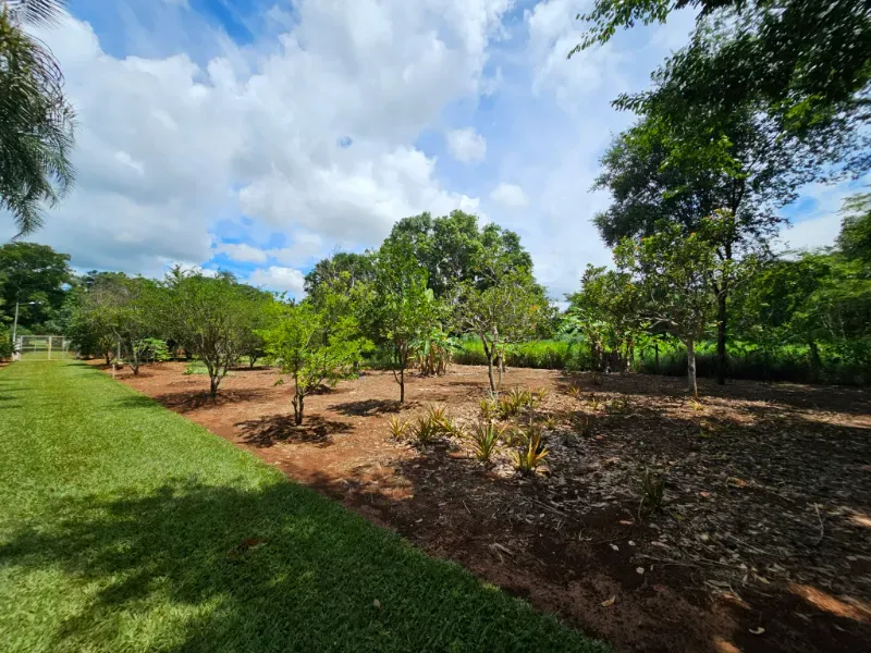 Chácara em Luziânia/Goiás — Ref 7Y4F63 — Imagem 41