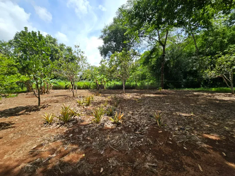 Chácara em Luziânia/Goiás — Ref 7Y4F63 — Imagem 42