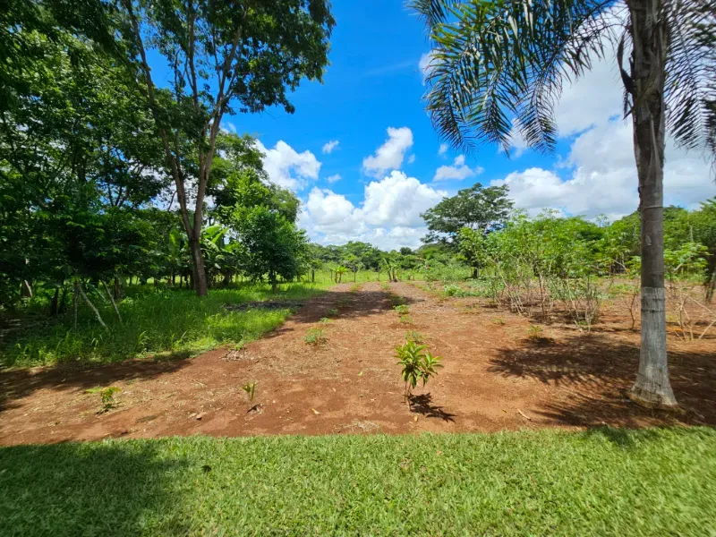 Chácara em Luziânia/Goiás — Ref 7Y4F63 — Imagem 43
