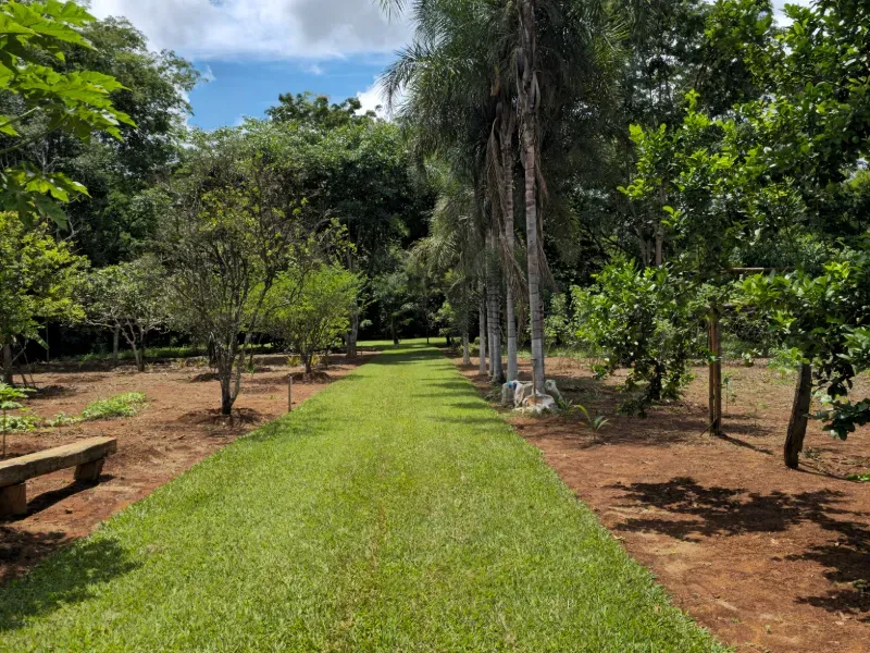 Chácara em Luziânia/Goiás — Ref 7Y4F63 — Imagem 46