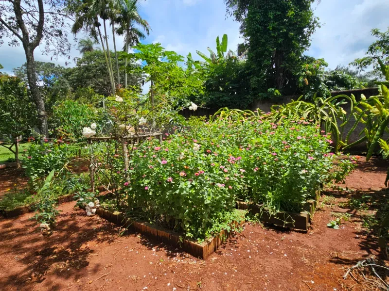 Chácara em Luziânia/Goiás — Ref 7Y4F63 — Imagem 47