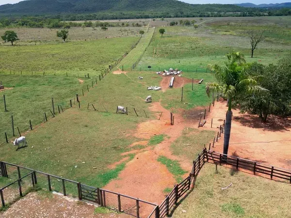 Vista aérea de propriedade rural com cercas, pasto verde, gado espalhado pela área, estrada de terra e árvores ao redor.