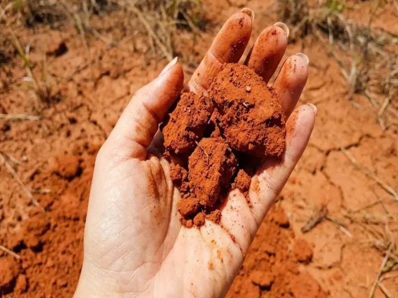 Fazenda em Chapada Gaúcha/Minas Gerais — Ref DF4288 — Imagem 5