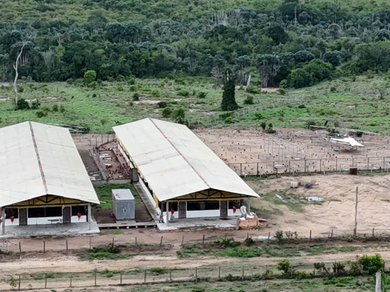 Fazenda em Senador José Porfírio/Pará — Ref K2YND6 — Imagem 10
