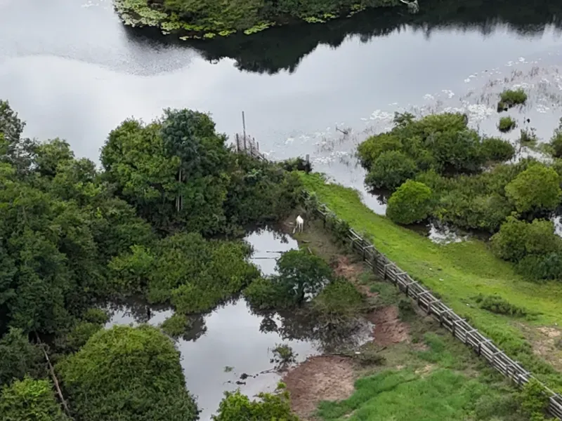 Fazenda em Senador José Porfírio/Pará — Ref K2YND6 — Imagem 6