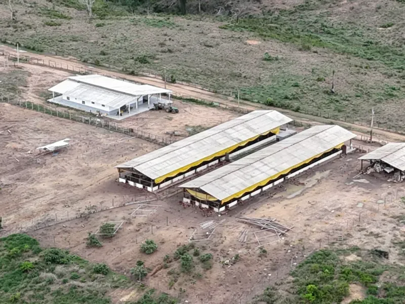 Fazenda em Senador José Porfírio/Pará — Ref K2YND6 — Imagem 9