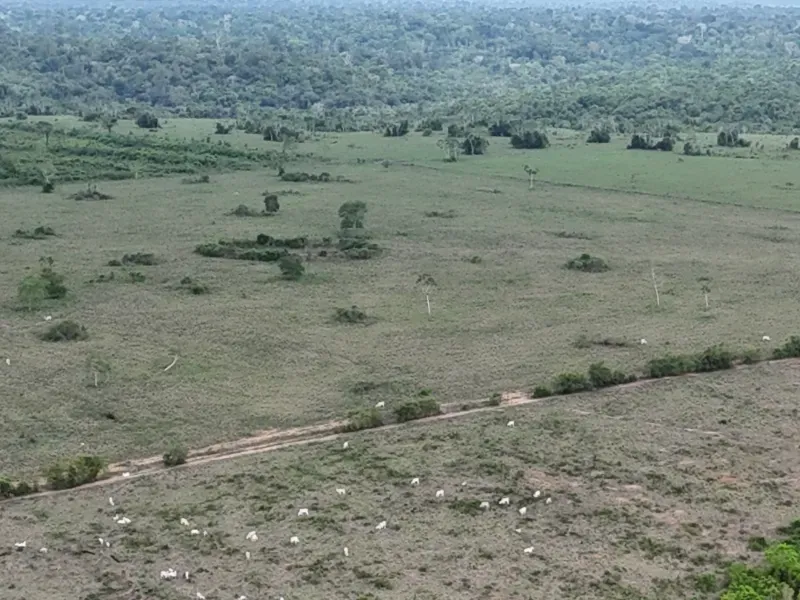 Fazenda em Senador José Porfírio/Pará — Ref K2YND6 — Imagem 16