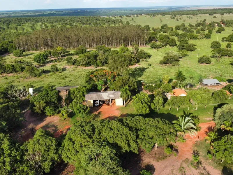 Fazenda em Três Lagoas/Mato Grosso do Sul — Ref BLM7UP — Imagem 5
