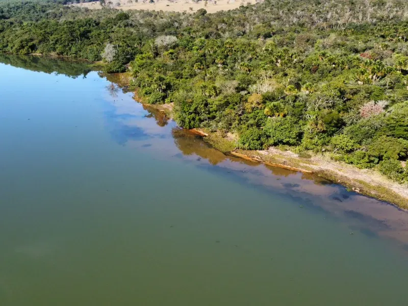 Fazenda em Três Lagoas/Mato Grosso do Sul — Ref BLM7UP — Imagem 9