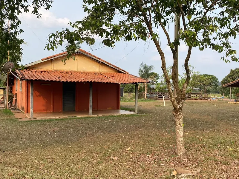 Fazenda em Três Lagoas/Mato Grosso do Sul — Ref BLM7UP — Imagem 12