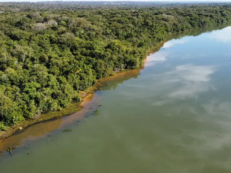 Fazenda em Três Lagoas/Mato Grosso do Sul — Ref BLM7UP — Imagem 13