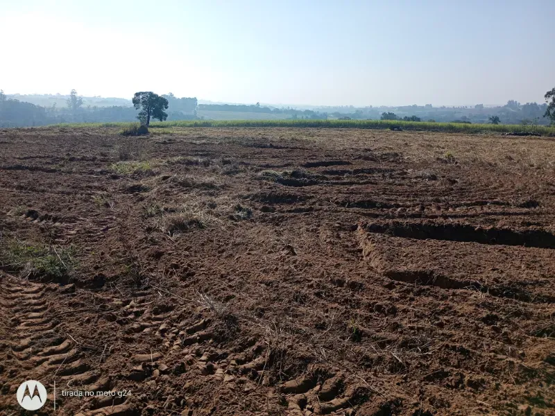 Sítio em Porto Feliz/São Paulo — Ref VVICK8 — Imagem 2