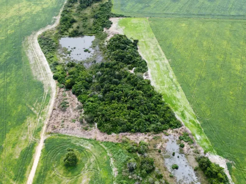 Imóvel rural em São José do Xingu/Mato Grosso — Ref 6WE0AO1
