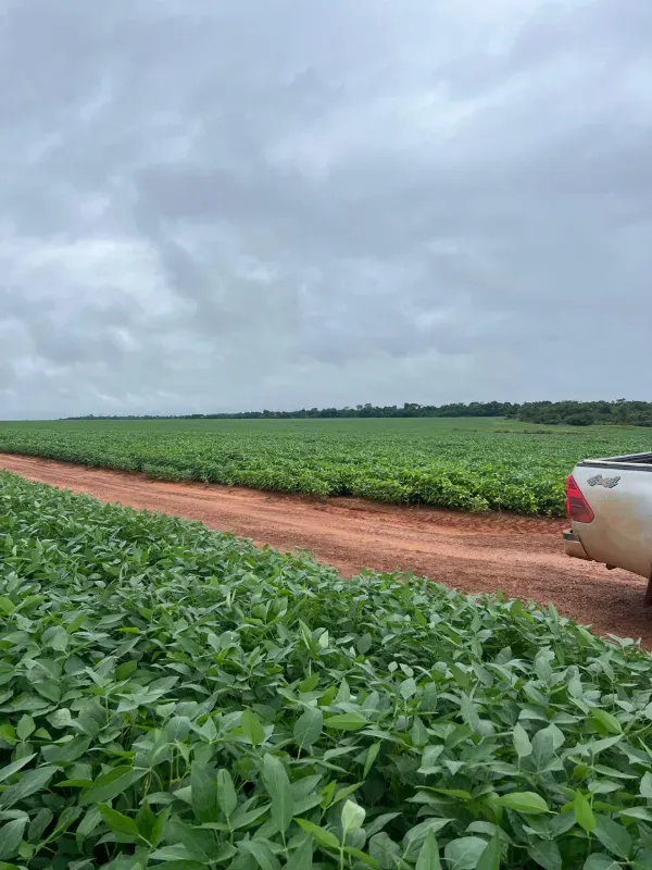 Fazenda em São José do Xingu/Mato Grosso — Ref 6WE0AO — Imagem 2
