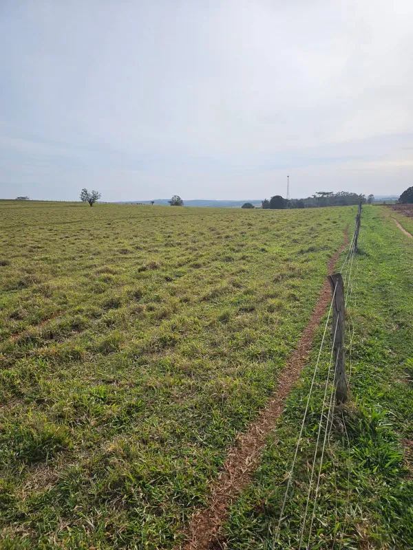 Sítio em Loanda/Paraná — Ref Y99H3Q — Imagem 3