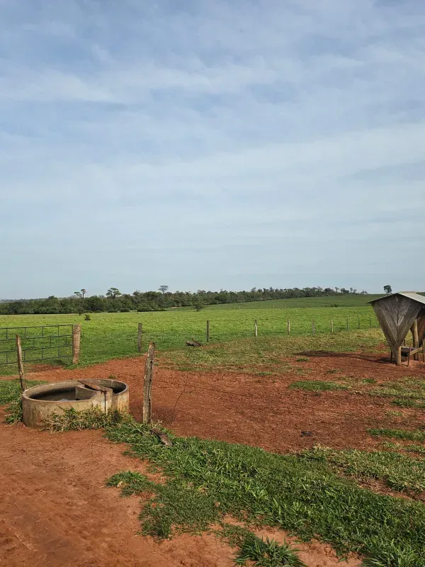 Sítio em Loanda/Paraná — Ref Y99H3Q — Imagem 5