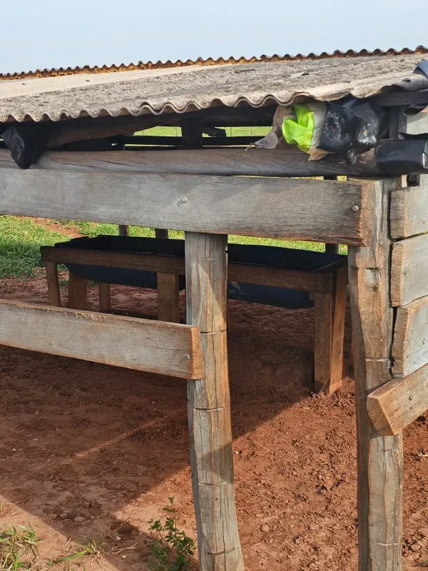 Sítio em Loanda/Paraná — Ref Y99H3Q — Imagem 6