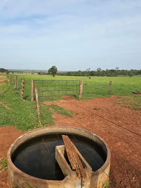 Sítio em Loanda/Paraná — Ref Y99H3Q — Imagem 8