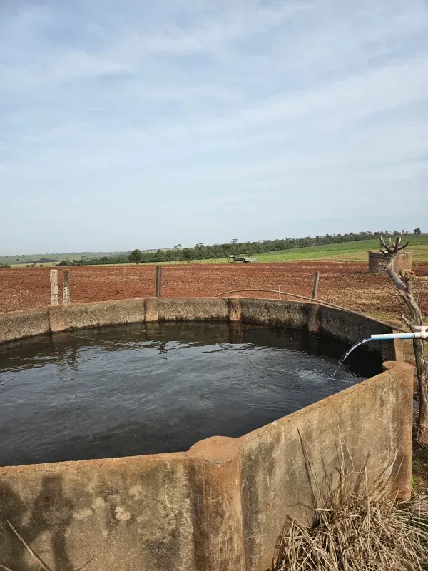 Sítio em Loanda/Paraná — Ref Y99H3Q — Imagem 9