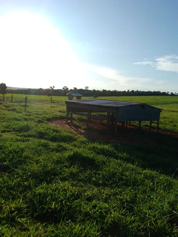 Sítio em Loanda/Paraná — Ref Y99H3Q — Imagem 13