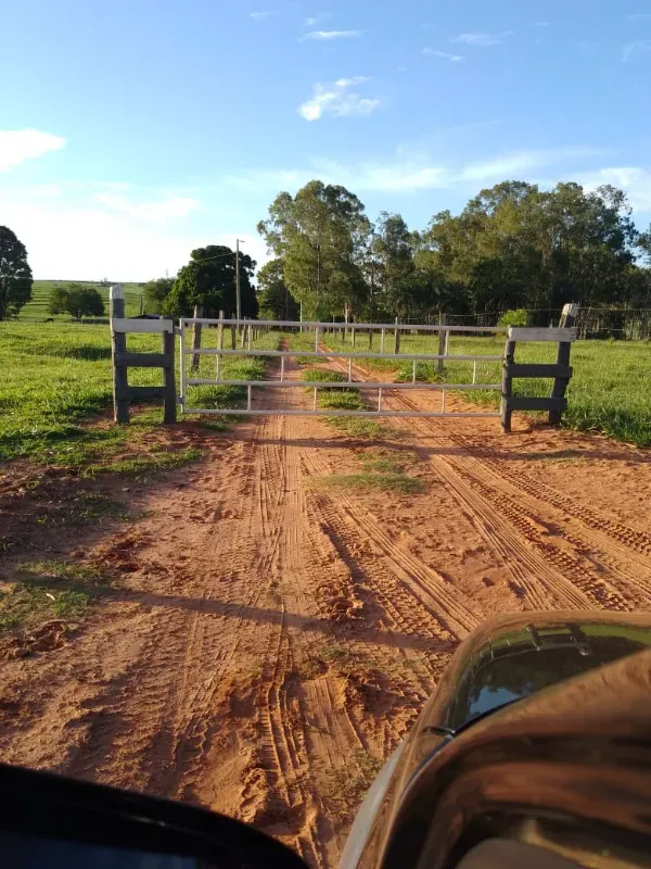 Sítio em Loanda/Paraná — Ref Y99H3Q — Imagem 16