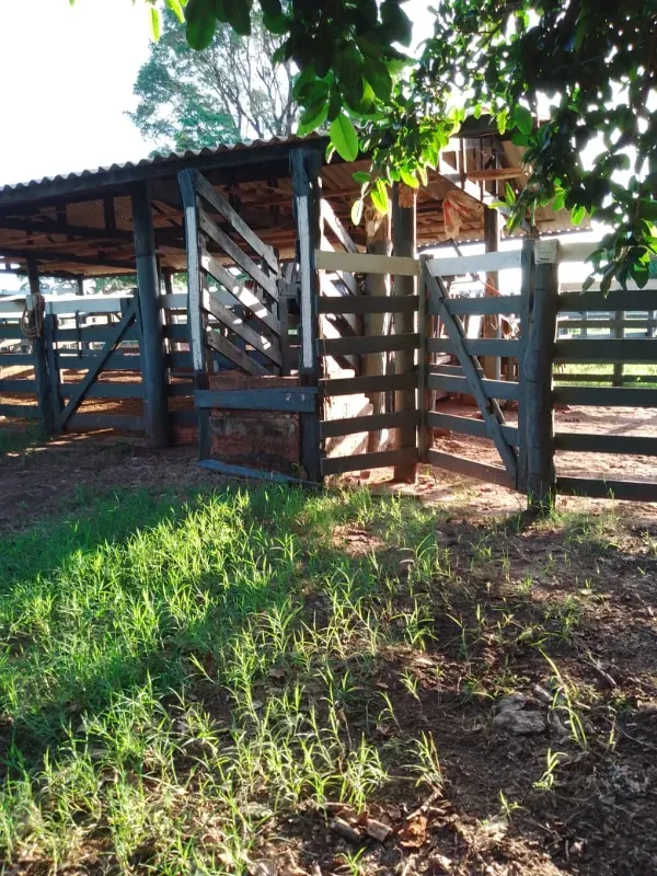 Sítio em Loanda/Paraná — Ref Y99H3Q — Imagem 17