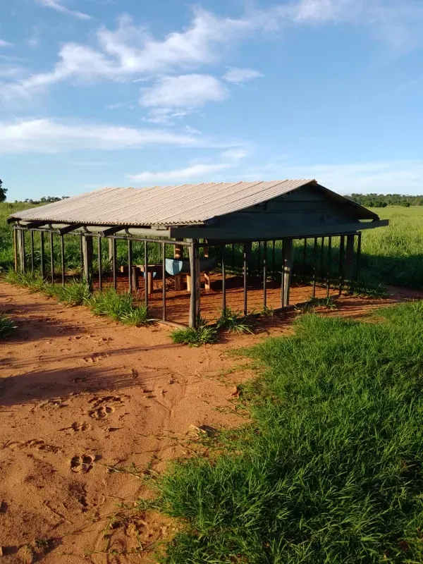 Sítio em Loanda/Paraná — Ref Y99H3Q — Imagem 18