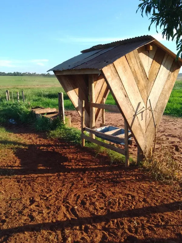 Sítio em Loanda/Paraná — Ref Y99H3Q — Imagem 19