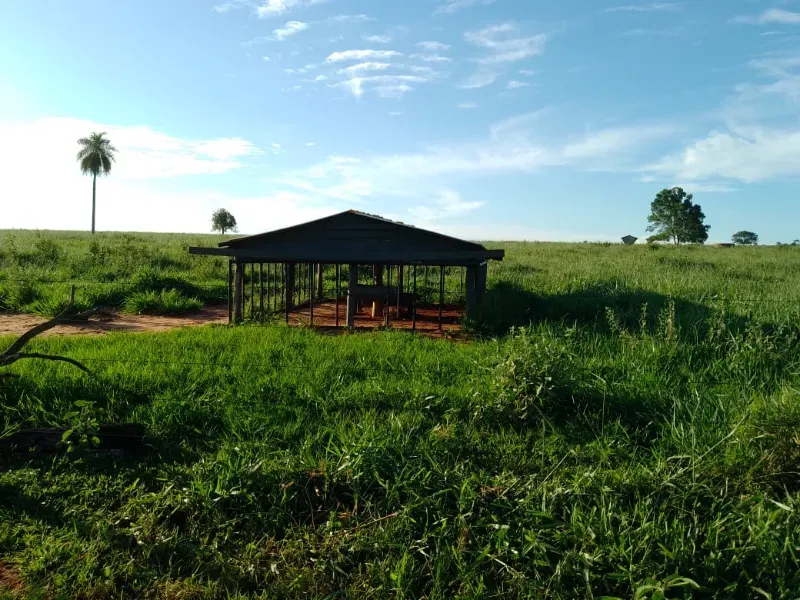 Sítio em Loanda/Paraná — Ref Y99H3Q — Imagem 20