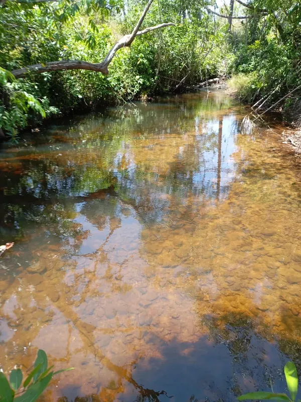 Fazenda em Lizarda/Tocantins — Ref RWN03E — Imagem 2