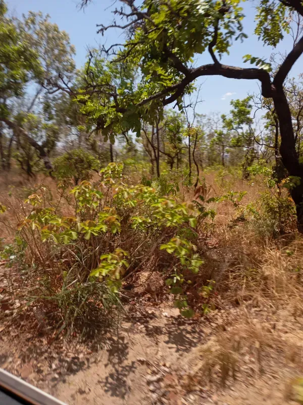 Fazenda em Lizarda/Tocantins — Ref RWN03E — Imagem 3