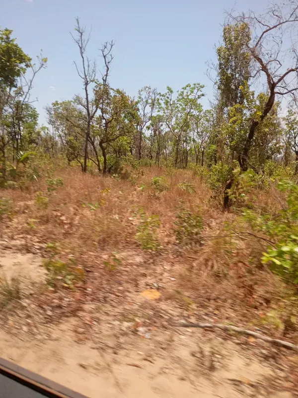 Fazenda em Lizarda/Tocantins — Ref RWN03E — Imagem 4