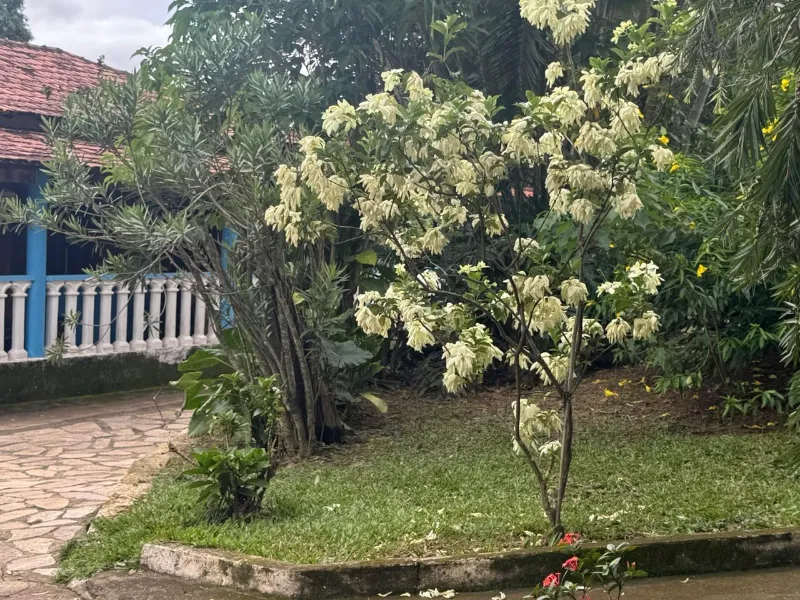 Fazenda em Corumbá de Goiás/Goiás — Ref FQJRT5 — Imagem 21