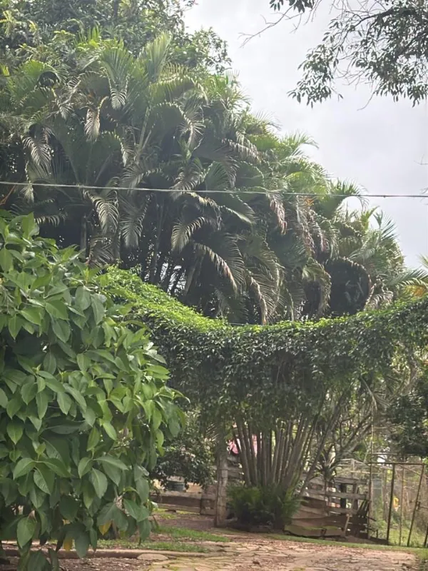 Fazenda em Corumbá de Goiás/Goiás — Ref FQJRT5 — Imagem 27
