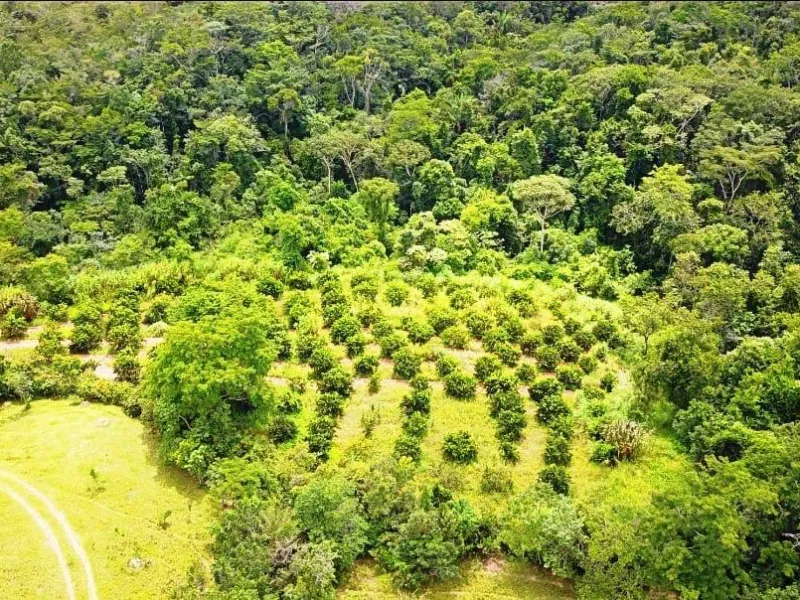 Fazenda em Corumbá de Goiás/Goiás — Ref FQJRT5 — Imagem 34