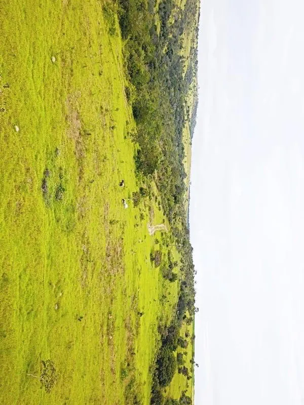 Fazenda em Corumbá de Goiás/Goiás — Ref FQJRT5 — Imagem 35