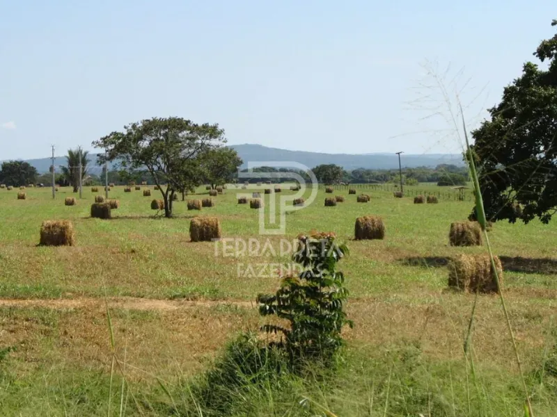 Fazenda em Pirapora/Minas Gerais — Ref 9TVQTL — Imagem 7